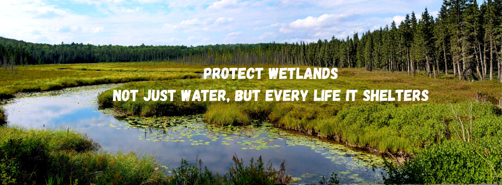 climatethinkerassociation